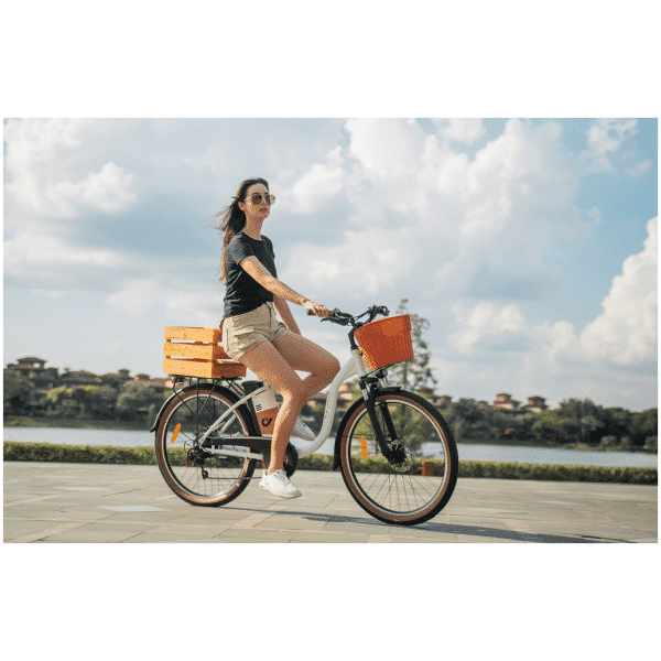 DYU C6 Pro elektromos kerékpár