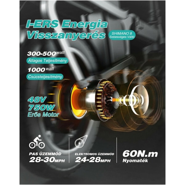 Elektromos kerékpár Engwe Engine Pro 2.0